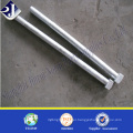 Grade 10.9 square head bolt Zinc plated square head bolt Square head bolt